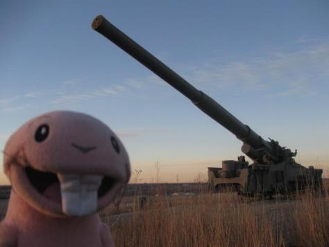 486_141375642899475_7356275806341455787_n