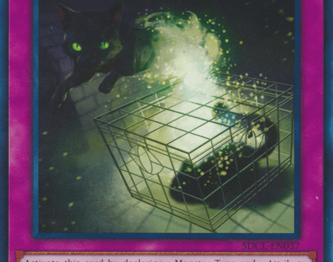 Quantum Express~ A Kittery Tale