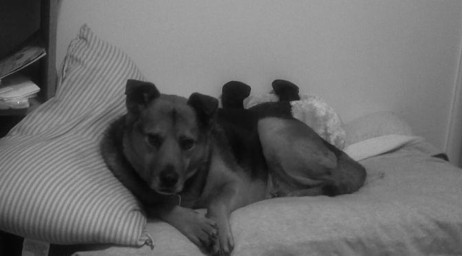 My Best Friend :Soul Training