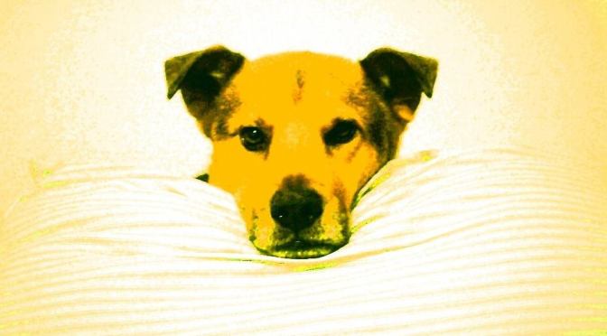 My Best Friend: Adventures In The Beginning