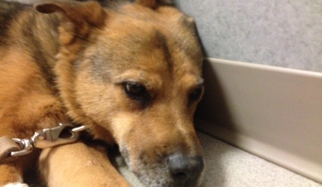 My Best Friend: 2 Days and 22 Hours