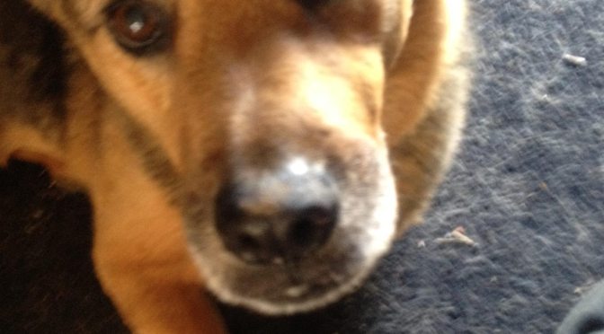 My Best Friend: Just When I Was Getting Comfortable