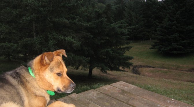 My Best Friend: Unsettled Awareness