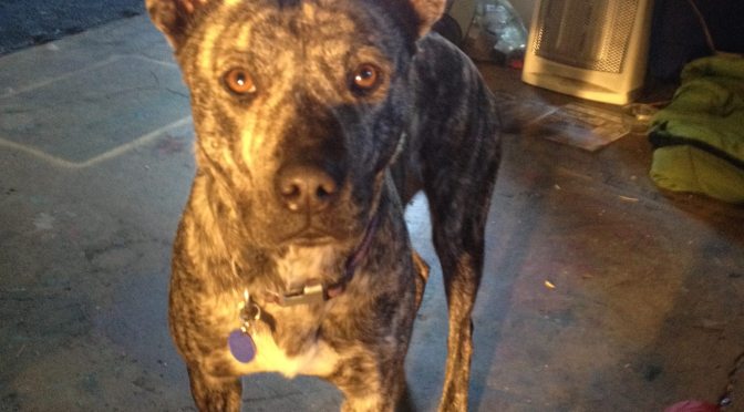 My Best Friend: What a Difference Four Months Makes